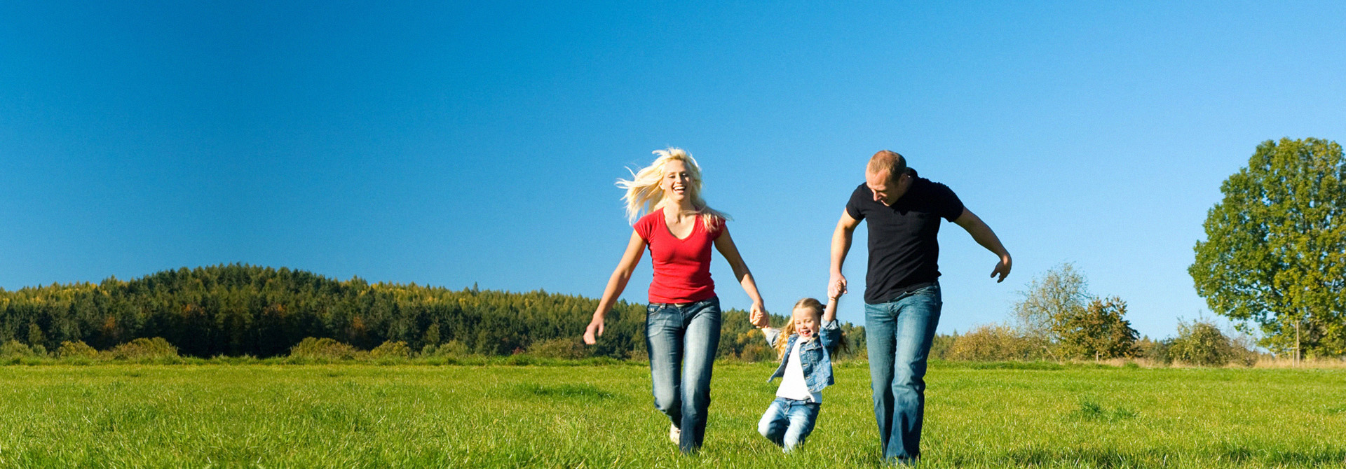 虫控选 • 凯瑞环境