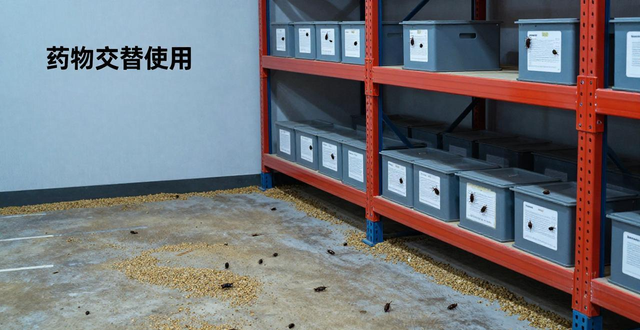 灭蟑螂窝_仓库灭蟑螂_仓库有蟑螂